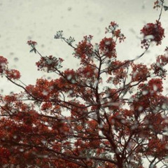 Good Riddance - Hades [Solo Cover]