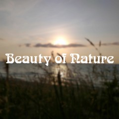 Beauty of Nature (Original Mix)