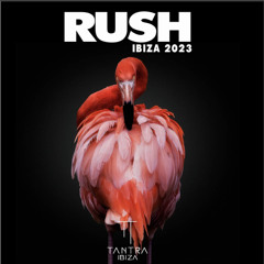 Rush Ibiza 2023 - Scottie Anderson - Tantra