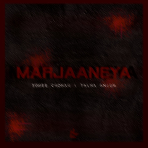 MARJAANEYA - SOMEE CHOHAN | TALHA ANJUM (Slowed & Reverbed)
