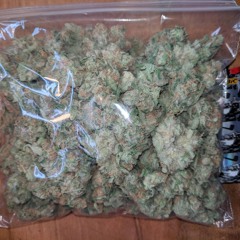 B OUNCE