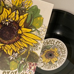 D-Fect - Flowers :: LOUISA001 10" Vinyl - OUT NOW !