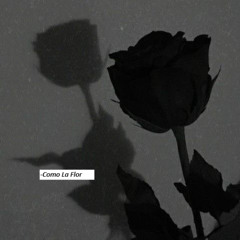 Como La Flor (Prelude) - Ah-Drianna [Prod. by Cashzacc]