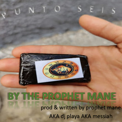 PUNTO SEIS