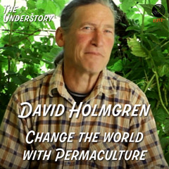 Change the World by Changing Yourself - David Holmgren