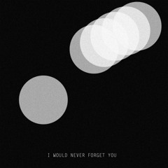 I Would Never Forget You