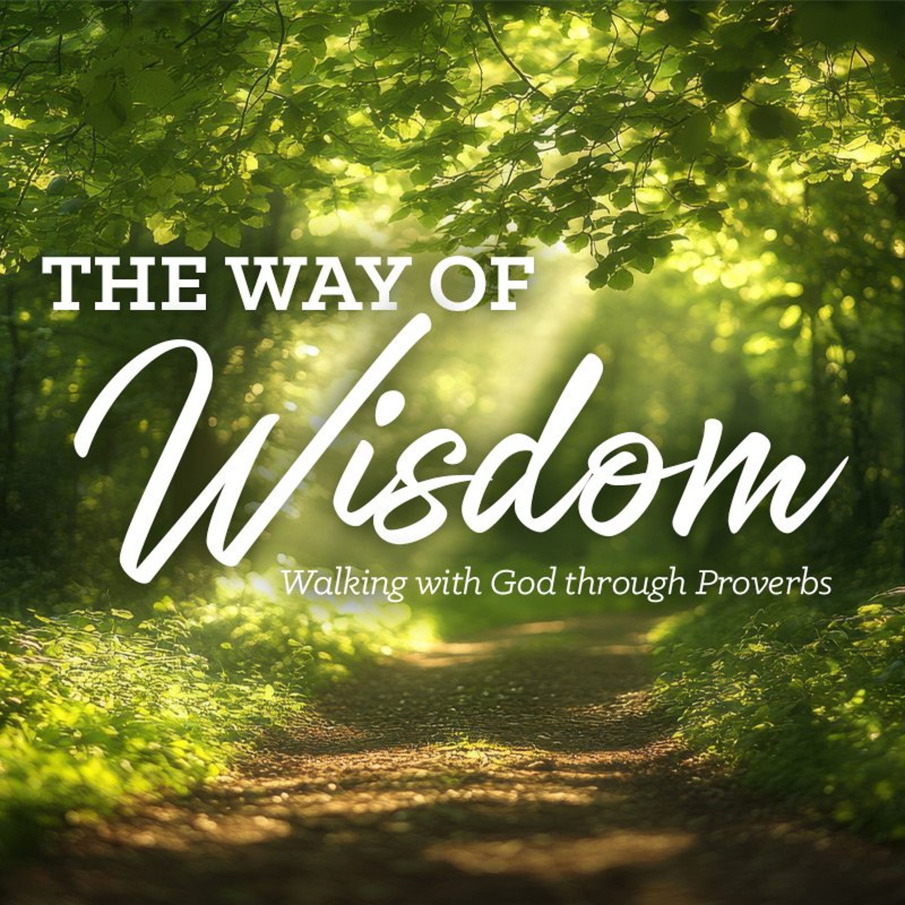Wisdom in Decision-Making (Proverbs 3:5–6; 11:14; 16:9; 19:21) episode artwork