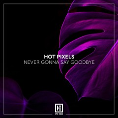 Hot Pixels - Never Gonna Say Goodbye (FREE DOWNLOAD)