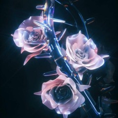 raynmustafa – COME FLI AWAY | 818R