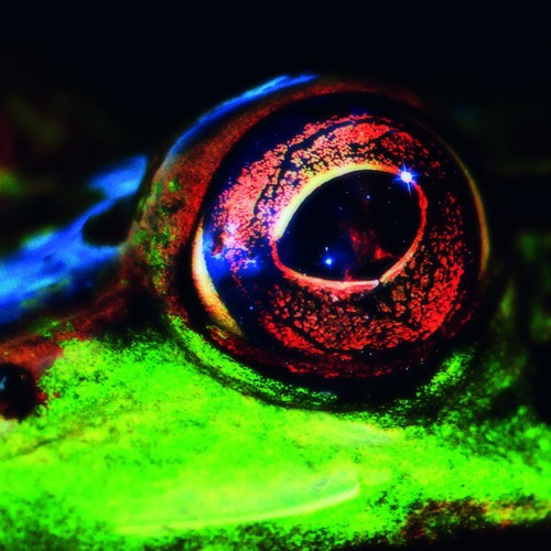 Day & Night (Day Mix)