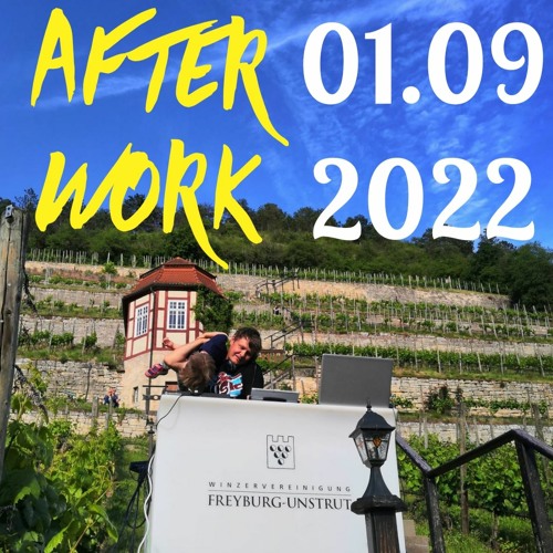 piTBlatsch - AfterWork #2