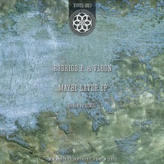 Rodrigo P. & Vloon - Process