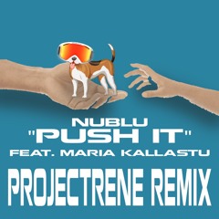 nublu - push it feat. maria kallastu (projectRene REMIX)