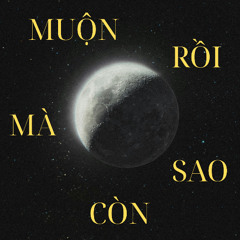 Muộn Mà Còn Sao Rồi  - RayBlue