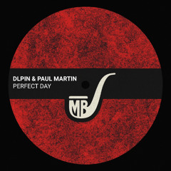 Dlpin & Paul Martin - Perfect Day  [MBR12]