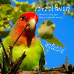 Voice Of Nature