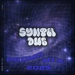 SYNTH DUB - 2025 PROMO MIX