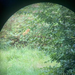 Vinyl only set | 90s/00s house