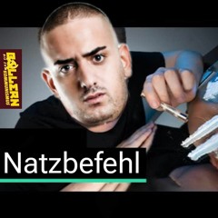 Cortex_Sound // HRDTKK, SAUFEN, FEIERN