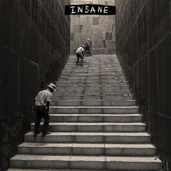 insane (acidcore)