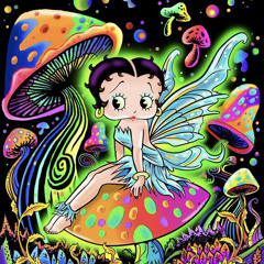 Mimosa - glamorama set for interval 11.10.24