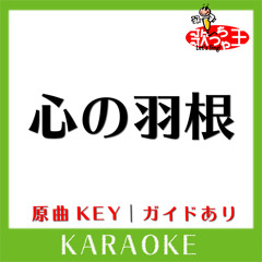 心の羽根(カラオケ)[原曲歌手:チームドラゴン from AKB48]