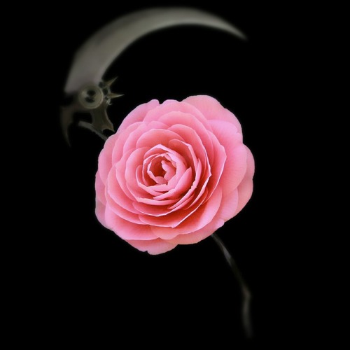 Mori Calliope - 失礼しますが、RIP? (john hanner remix)