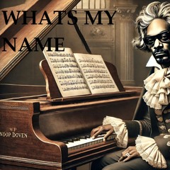 Snoop Dogg at the Piano- Remix
