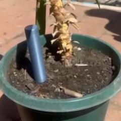 isampledacidforthis.wav