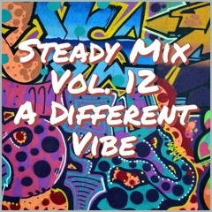 STEADY MIX VOL. 12 (A DIFFERENT VIBE)