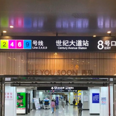 各駅停車世紀の大通り行き