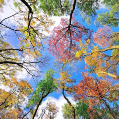 Pertama-tama Semua Manis 😂 (im sorry goodbye kd)