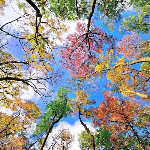 Pertama-tama Semua Manis 😂 (im sorry goodbye kd)