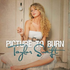 Picture To Burn (Acoustic Demo)- Taylor Swift