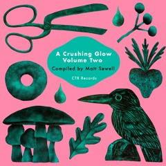 Matt Sewell's A Crushing Glow Volume 2 Mini-Mix Promo