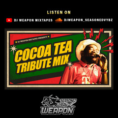 Cocoa Tea Tribute Mix By DJ Weapon | Best of Cocoa Tea | Reggae | Throwback