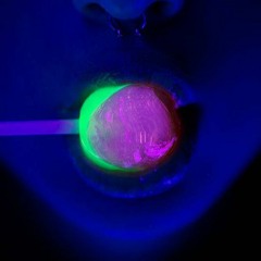 Tasty