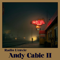 L'envie #94 :: Andy Cabic II