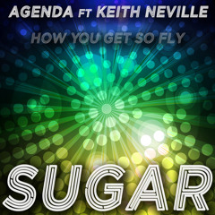 Sugar (How You Get so Fly)