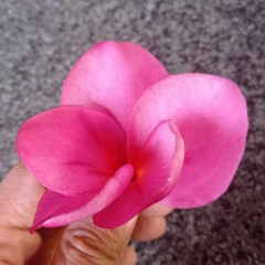 SIDEMEN KARANGASEM - AA RAKA SIDAN.mp3