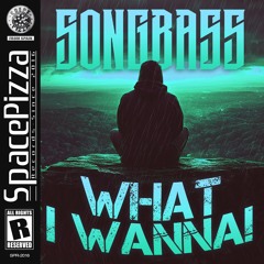 Songbass - What I Wanna! [Out Now]