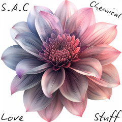 S.A.C - Gunslinger (Original Mix)
