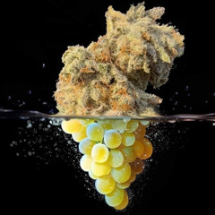 Aphex Twin - Pulsewidth