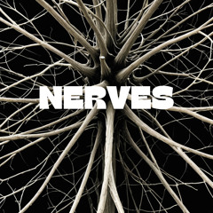 Nerves