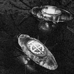 FOR. x DVX NVX – I