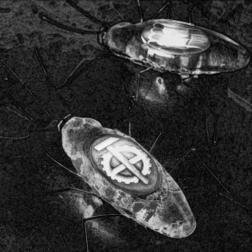 FOR. x DVX NVX – I