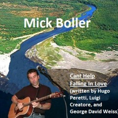 Cant Help Falling In Love (written by Hugo Peretti, Luigi Creatore, and George David Weiss)