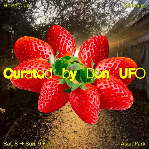 Catalina at Horst Club x Ben UFO (08.02.2025)