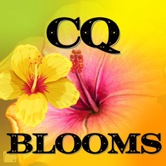 Blooms