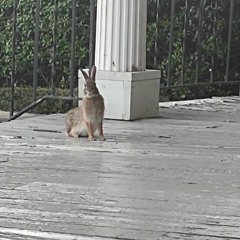 Sittin' Down By The Campfire